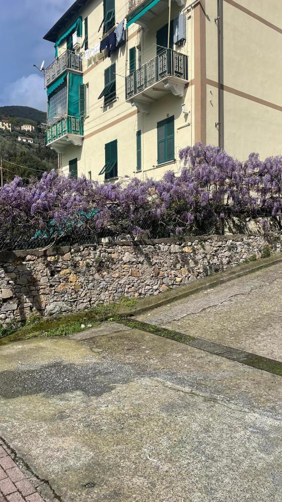 Chez Amelie Apartment La Spezia Ngoại thất bức ảnh